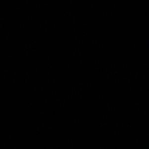 Meet your Posher, Brady